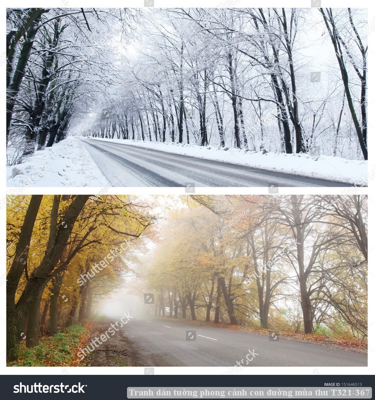 Tranh dán tường phong cảnh con đường mùa thu T321-367